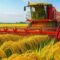 Modern Farming Finds New Ways to Grow More