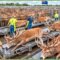 Livestock Farming Enters a New Era of Efficiency