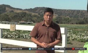 AgriTech Innovations Bringing Farming Into the Future