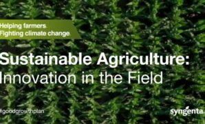 Sustainable Agriculture Moves From Vision to Action