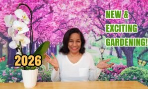 Gardening Trends That Make Growing at Home More Rewarding