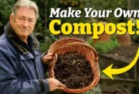 Composting Turns Everyday Waste Into Garden Gold