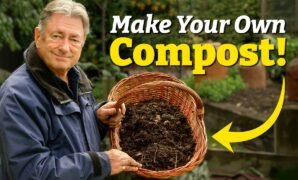Composting Turns Everyday Waste Into Garden Gold